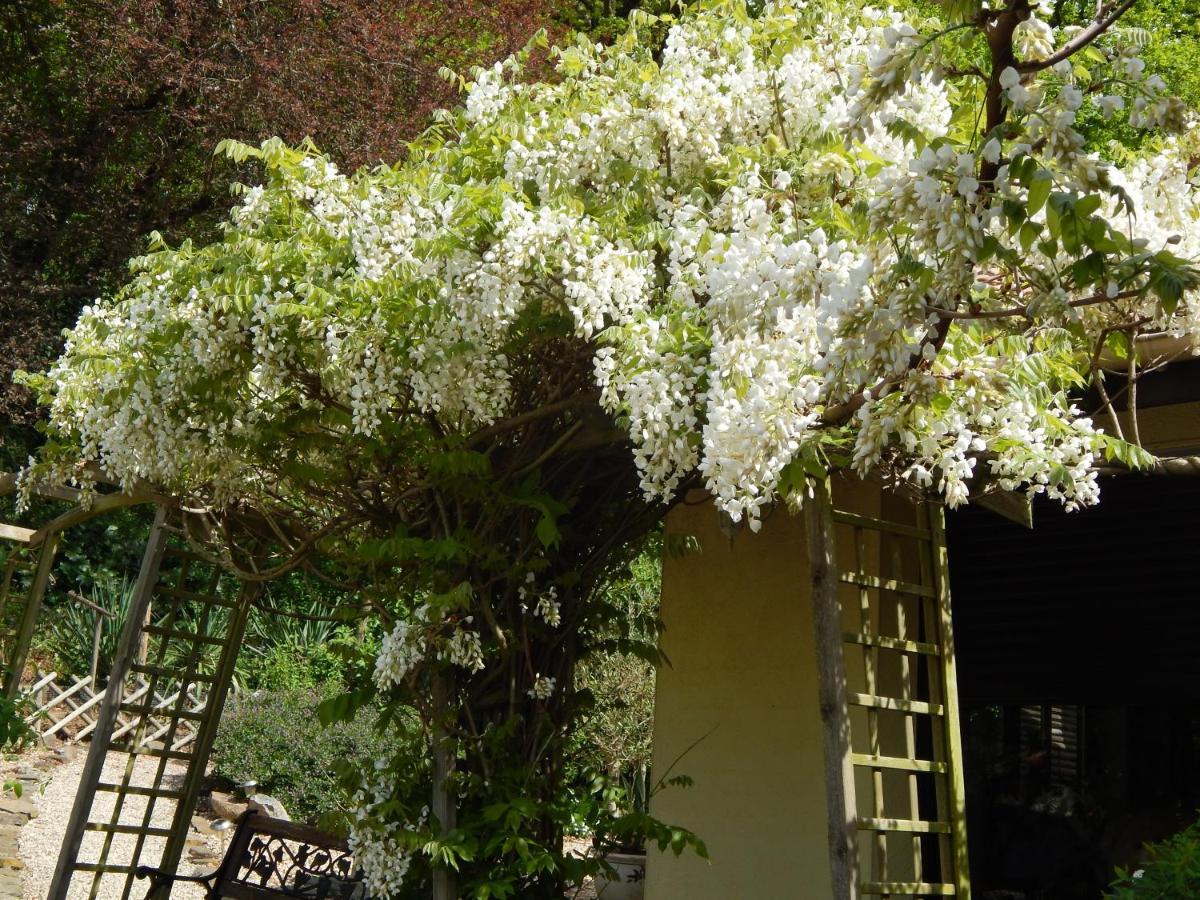 The Petite Chalet Chambre D'Hotes L'Isle-Jourdain  Exterior photo